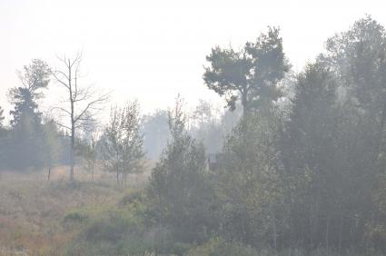 Smoke west of Grand Marais by Scott Herrly